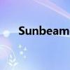 Sunbeam在美國(guó)出名么（sunbeam）