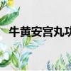 牛黃安宮丸功效及適合人群（牛黃安宮丸）