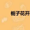 梔子花開歌曲原唱（梔子花開歌詞）