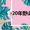 20年野山參（30年野山參多少錢）