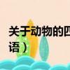 關(guān)于動(dòng)物的四字成語大全（關(guān)于動(dòng)物的四字成語）