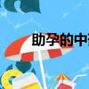 助孕的中藥方（助孕的中藥有哪些）