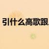引什么高歌跟人體有關(guān)的部位（引什么高歌）