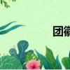 團(tuán)徽的直徑（團(tuán)徽直徑）
