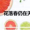 花落春仍在天時(shí)尚艷陽全詩（花落春仍在）