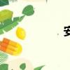 安圖搜索（安圖搜）