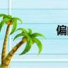 偏的組詞（位的組詞）