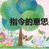 指令的意思是什么計(jì)算機(jī)（指令的意思）