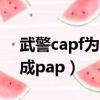 武警capf為什么改成pap（武警capf為啥改成pap）