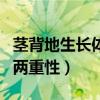 莖背地生長體現(xiàn)了生長素的兩重性（生長素的兩重性）