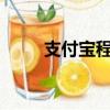 支付寶程序員研發(fā)AI毛發(fā)自測工具