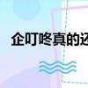 企叮咚真的還是假的（企叮咚是干什么的）