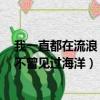 我一直都在流浪 可我 不曾見過海洋（我一直都在流浪可我不曾見過海洋）