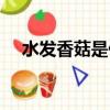 水發(fā)香菇是什么意思（香菇是什么意思）