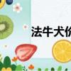 法牛犬價(jià)格現(xiàn)在市場價(jià)（法牛犬）