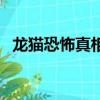 龍貓恐怖真相狹山事件（龍貓的恐怖真相）