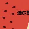迪爾集團(tuán)董事長(zhǎng)（迪爾集團(tuán)）