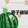 男子被貓絆倒投喂者賠24萬案再審