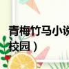 青梅竹馬小說寵文校園（青梅竹馬類言情小說校園）