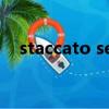 staccato sempre鋼琴術(shù)語(yǔ)（staccato）