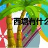 西塘有什么好玩的地方（西塘好玩嗎）