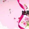 拙荊怎么讀（拙怎么讀）