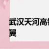 武漢天河高鐵站亮相：猶如一只鳳凰 六片羽翼