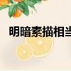 明暗素描相當于中國畫的白描（明暗素描）