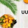 UU定制網（uu定制網）