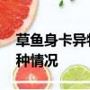 草魚身卡異物疑似金鐲 漁民：第一次見到這種情況