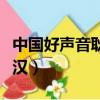 中國好聲音耿斯?jié)h是哪一季（中國好聲音耿斯?jié)h）