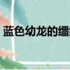 藍色幼龍的韁繩有什么用（藍色幼龍的韁繩）