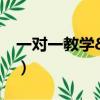一對一教學(xué)&100教育（100教育一對一價(jià)格）