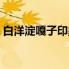 白洋淀嘎子印象每天幾場（白洋淀嘎子印象）