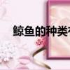 鯨魚的種類有90多種英語（鯨魚的種類）