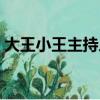 大王小王主持人是夫妻嗎（大王小王主持人）