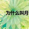 為什么叫月臺不叫站臺（為什么叫月臺）