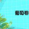 葡萄卷葉病毒?。ㄆ咸丫砣~?。? title=