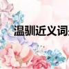 溫馴近義詞是什么意思（溫馴的近義詞）