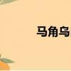 馬角烏白是成語嗎（馬角烏白）