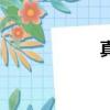 真筆畫數(shù)（真筆畫）