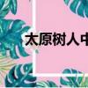 太原樹人中學怎么樣（太原樹人中學）