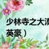 少林寺之大漠英豪電視連續(xù)?。ㄉ倭炙轮竽⒑溃? title=