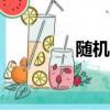 隨機抽號app（隨機抽號）