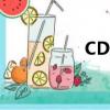 CDR基金會（cdr基金）