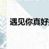 遇見你真好插曲民謠（遇見你真好插曲）