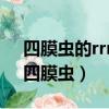 四膜蟲的rrna前體具有催化活性又稱作( )（四膜蟲）