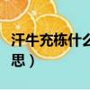 汗牛充棟什么意思解釋詞語（汗牛充棟什么意思）
