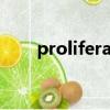 proliferate的名詞（proliferated）