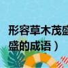 形容草木茂盛的成語有哪些詞語（形容草木茂盛的成語）